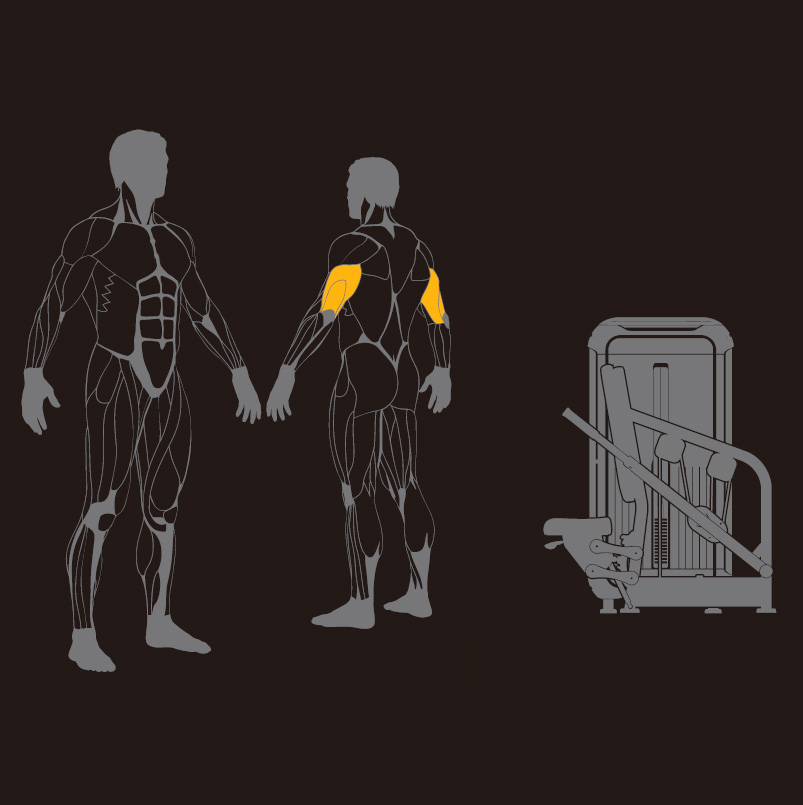 seated-tricep-just7gym-2